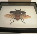 IMG_20201201_202926