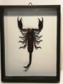 IMG_20201201_204022