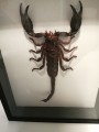 IMG_20201201_203753
