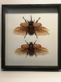 IMG_20201201_205031