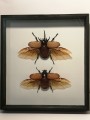 IMG_20201201_205109