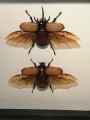 IMG_20201201_205057