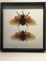IMG_20201201_205040